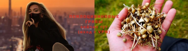 mix Богородицк