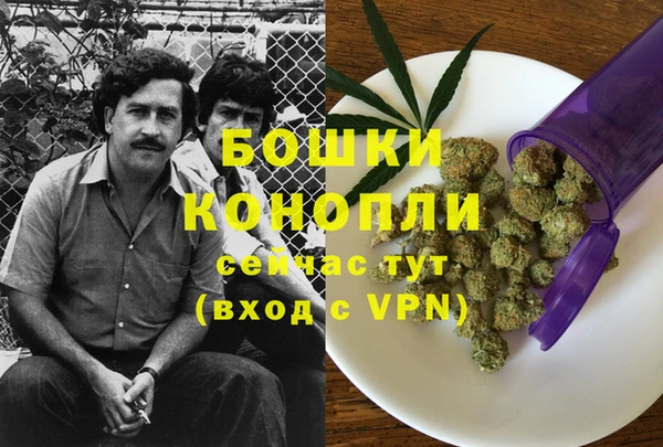 mix Богородицк